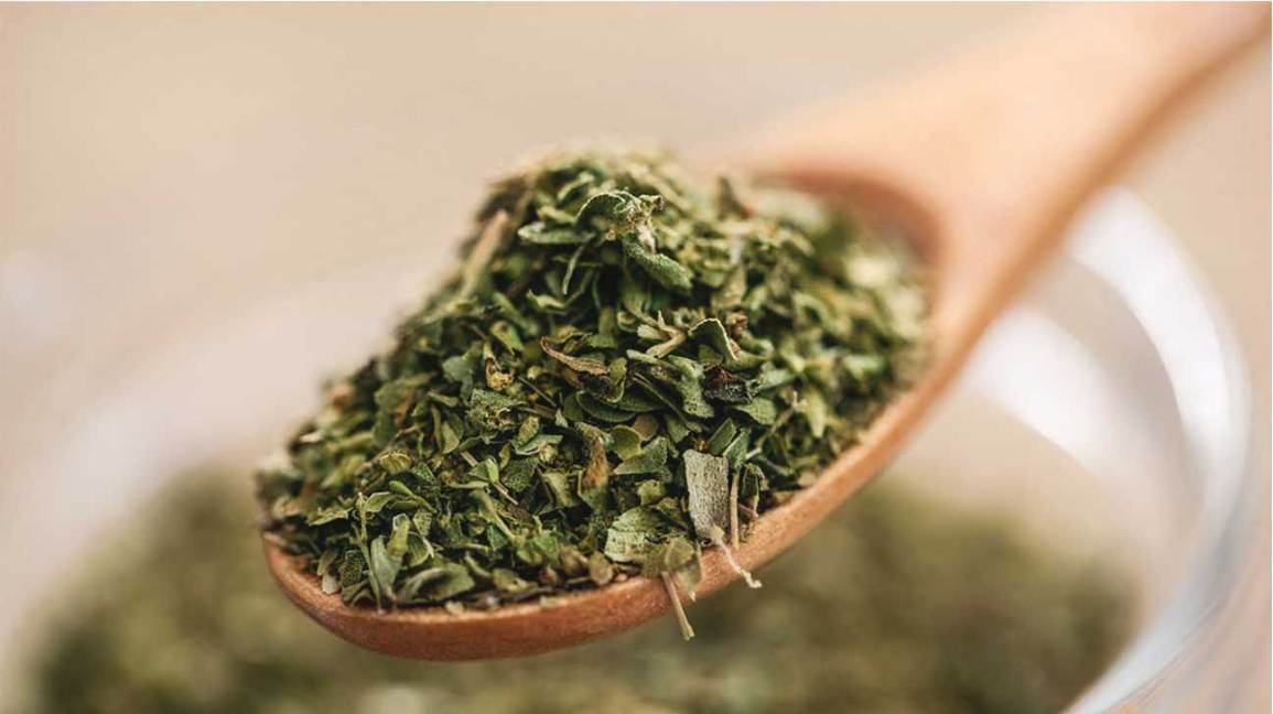oregano